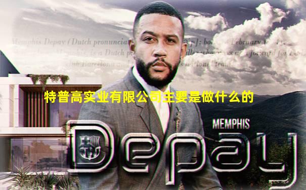 特普高实业有限公司主要是做什么的