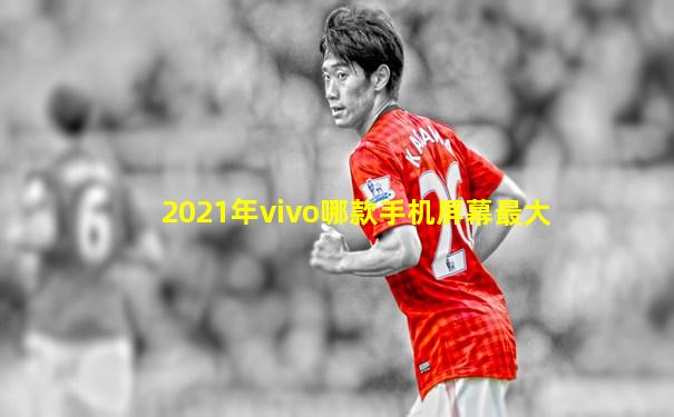 2021年vivo哪款手机屏幕最大
