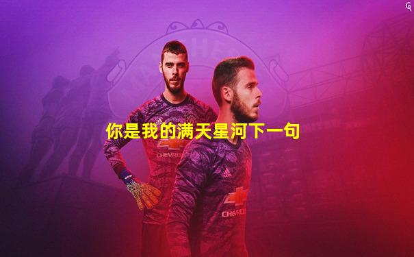 你是我的满天星河下一句