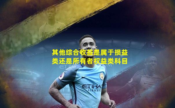 其他综合收益是属于损益类还是所有者权益类科目