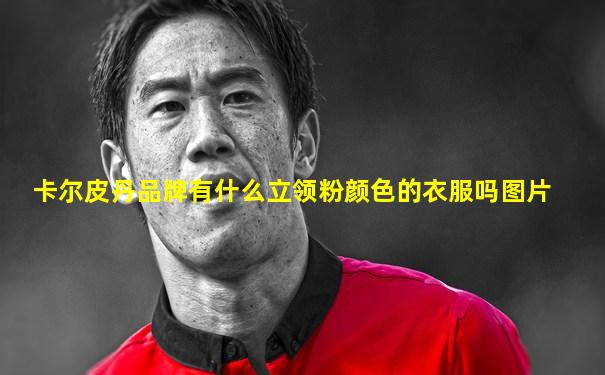 卡尔皮丹品牌有什么立领粉颜色的衣服吗图片