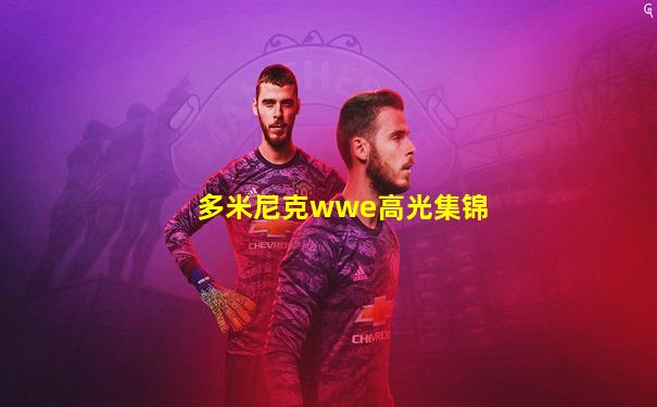 多米尼克wwe高光集锦