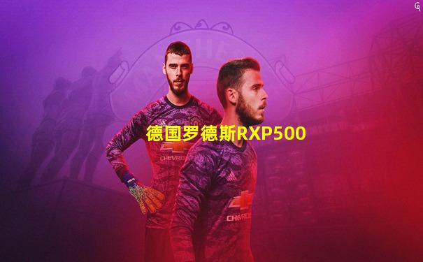 德国罗德斯RXP500