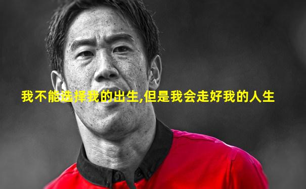 我不能选择我的出生,但是我会走好我的人生
