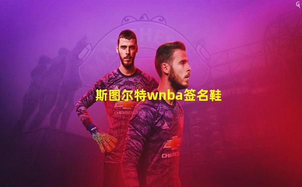 斯图尔特wnba签名鞋