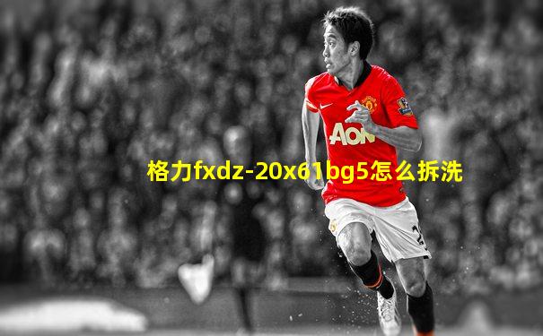 格力fxdz-20x61bg5怎么拆洗
