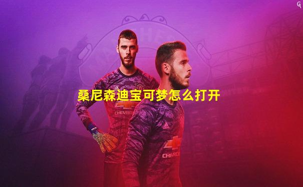 桑尼森迪宝可梦怎么打开