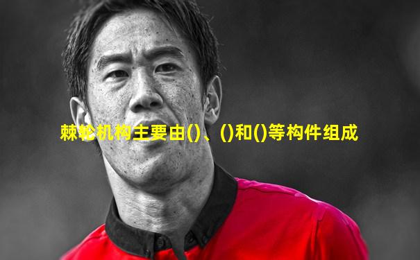 棘轮机构主要由()、()和()等构件组成