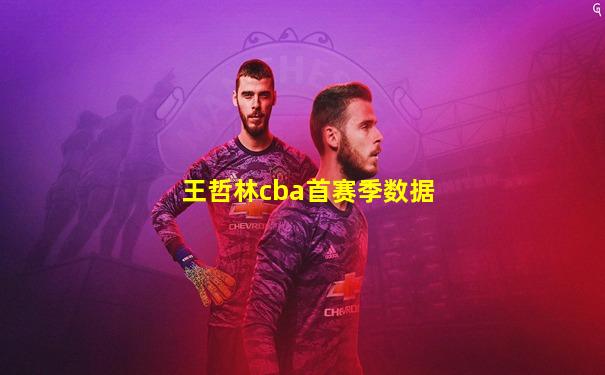 王哲林cba首赛季数据