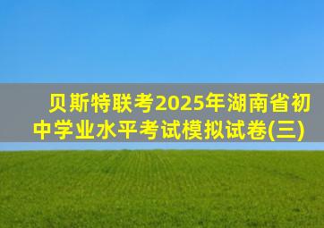 贝斯特联考2025年湖南省初中学业水平考试模拟试卷(三)